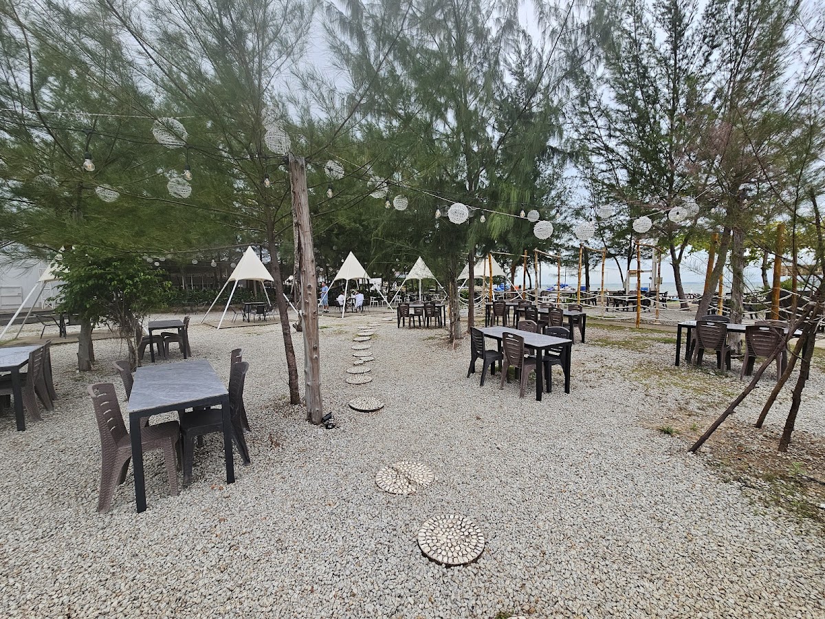 Next Level Koffie & Beachfront Bar